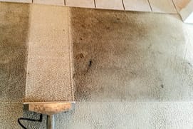 Pet Stain Removal San Antonio