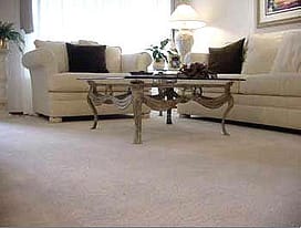 Upholstery & Furniture Cleaning